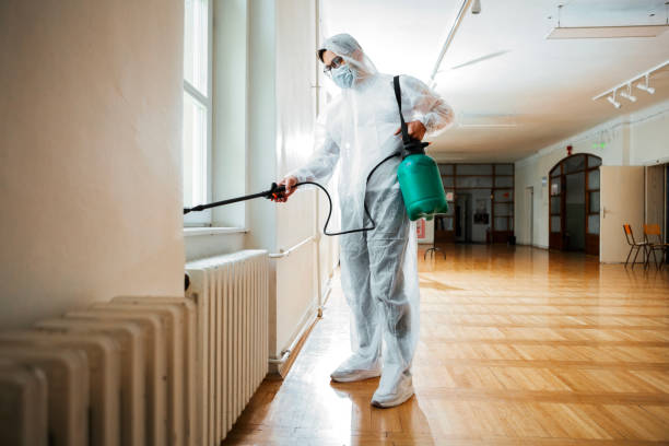 Professional Pest Control in South Huntington, NY